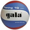 Gala Training 10,  мяч волейбольный