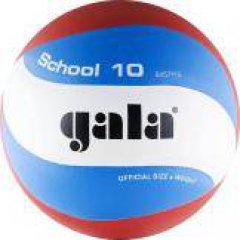 Gala School 10 мяч волейбольный